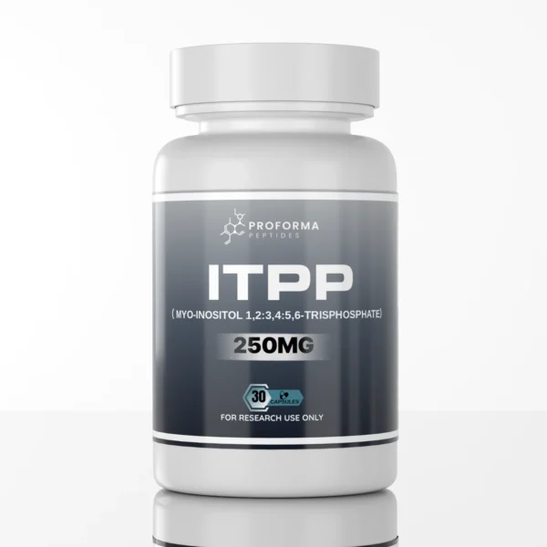 ITPP_Render