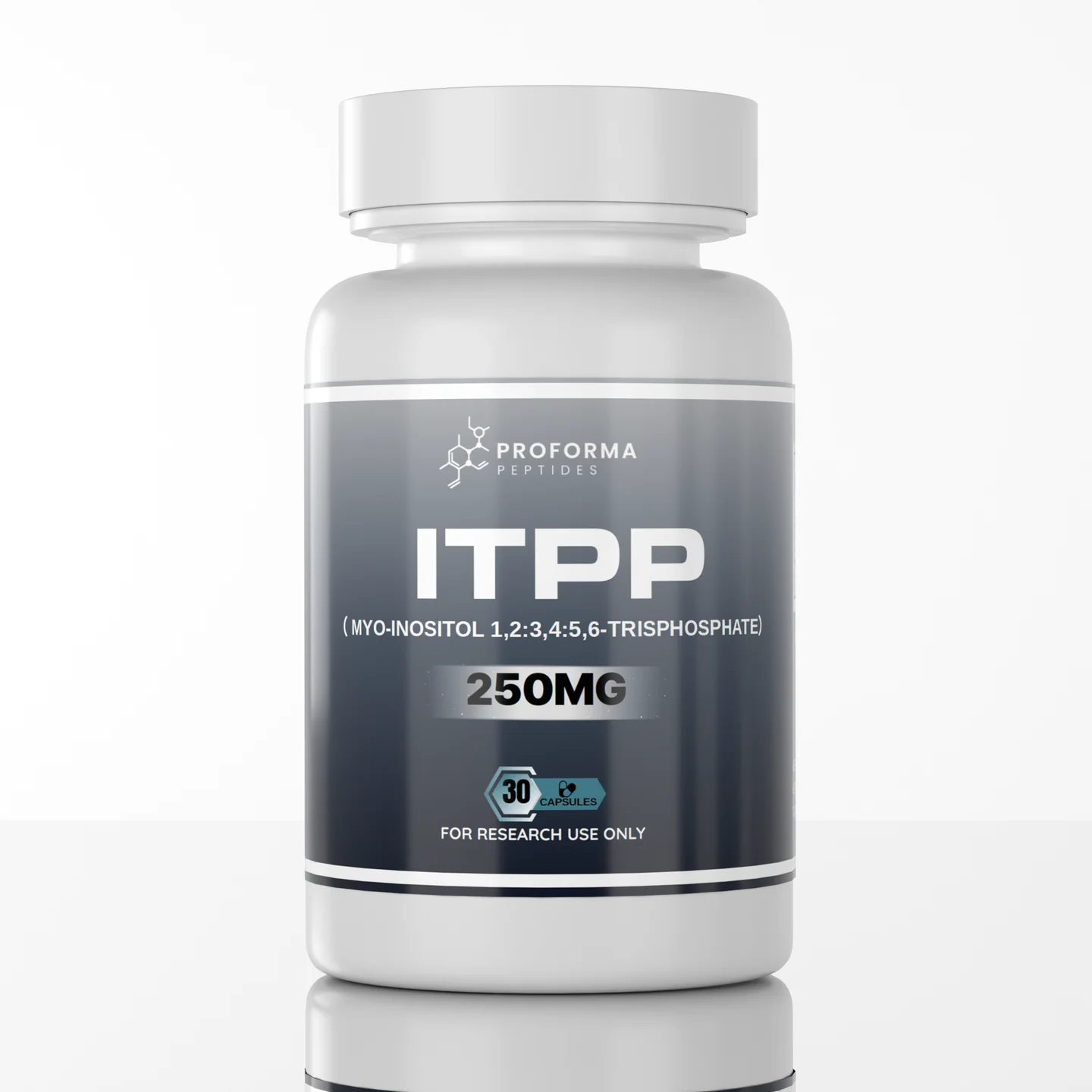 ITPP_Render
