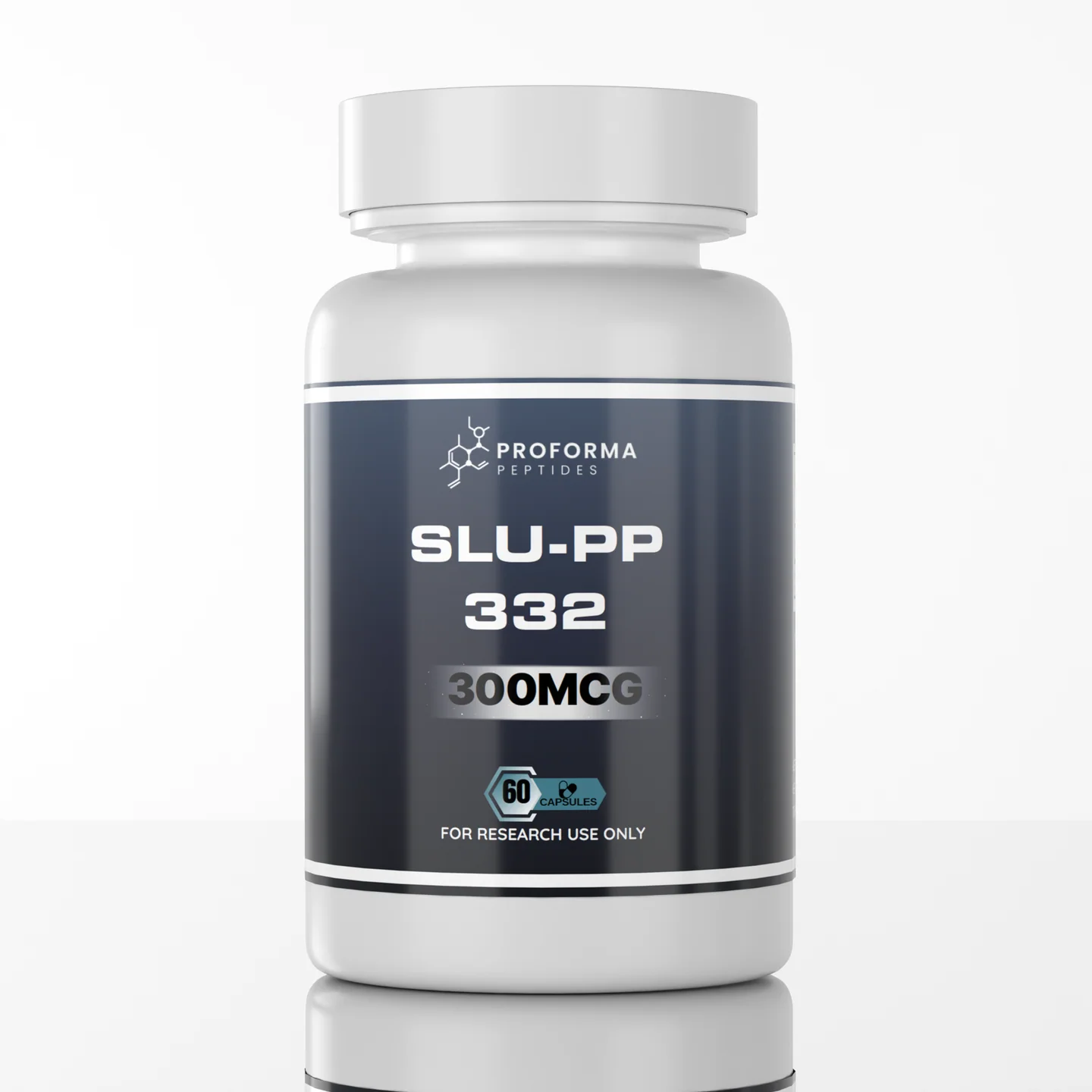SLU-PP_Render